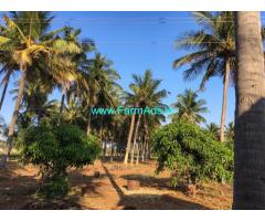 Agriculture Land with Coconut Farm for sale at udumelpet
