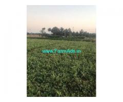 2.5 Acre Agriculture Land for Sale Near Periyapatti