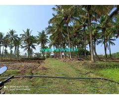 4 Acre Agriculture Land For Sale In Arakalagud
