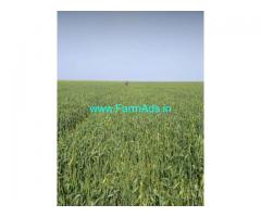 9 Acre Agriculture Land For Sale In Sitapur