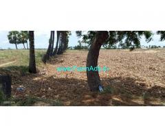 2.75 Acre Agriculture Land for Sale Near Bondalagaruvu