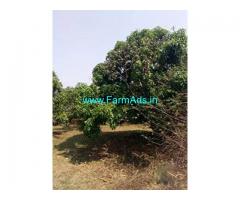 3 Acre Agriculture Land for Sale Near T.Sundupalli