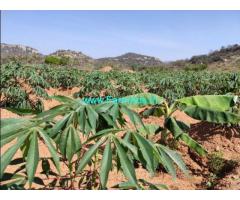50 Cents Farm Land For Sale In Shoolagiri,