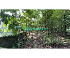 14 Cent Square plot for sale in Chittadi