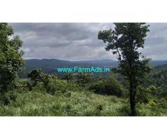 21 Cent Agriculture Land for Sale Near Mananthavady