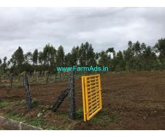 5.5 Guntas Agriculture Land for Sale Near Nelamangala