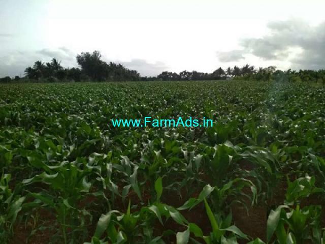3 Acre Agriculture Land For Sale In Magod