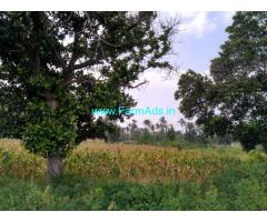 6.5 acres Farm land with house on rent Hassan