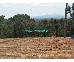 4 Acre Agriculture Land for Sale Near Chikmagalur