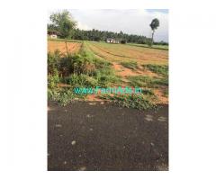 1 Acre Agriculture Land for Sale Near Periyapatti