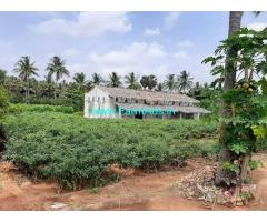 7 Acre Agriculture Land for Sale Near Gudimangalam