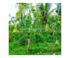 4 Acre Coffee Land for Sale Near Hassan