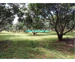 2.3 Acre Agriculture Land for Sale Near Koratagere