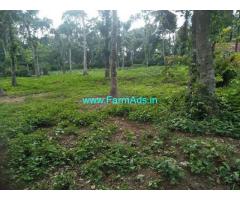 17 Gunta Agriculture Land for Sale Near Chikmagalur