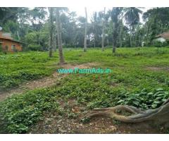 17 Gunta Agriculture Land for Sale Near Chikmagalur