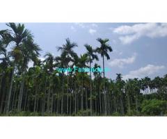 4.5 Acre Agriculture Land for Sale Near Konandur