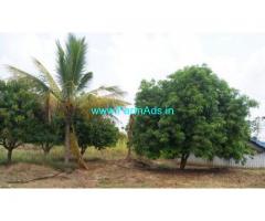5.5 Acre Agriculture Land for Sale Near Thiruvallur