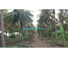 7.5 Acres coconut farmland for sale at Madhugiri