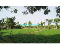 5.5 acres farm house mango garden next to thiruvallur toll plaza