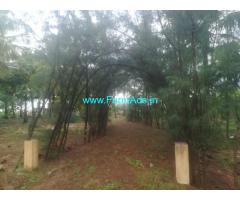 1.10 Acre Sea View Land with Beach house for Sale Kanyakumari