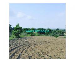 12 Acre Agriculture Land for Sale Near Belur
