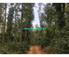 11 Acre Coffee Land for Sale Near Chikmagalur