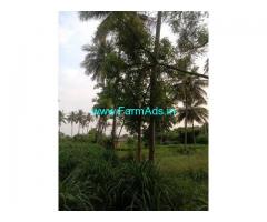 1.5 Acre Farm Land for Sale Near Harohalli