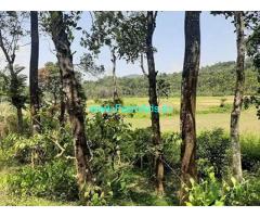 3.16 Acre Agriculture Land for Sale Near Mananthavady