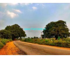 4 Acre Agriculture Land for Sale Near M.Turkapally