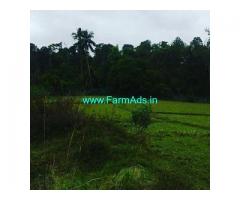 5 Acre Agriculture Land for sale in Rippenpete