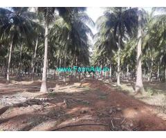 21 Acre Agriculture Land for Sale Near Pethappampatti