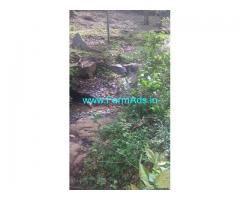 10 Acre Agriculture Land for Sale Near Attappadi