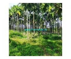 17 Acre Coffee Land for Sale Near Narve