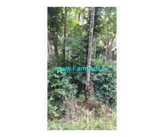 3.10 Acre Agriculture Land for Sale Near Attappadi
