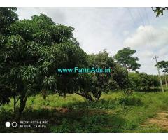 3 Acre Farm Land for Sale Near Yennegere