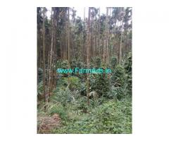 28 Acre Agriculture Land for Sale Near Attappadi
