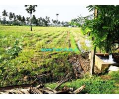 2.5 Acre Agriculture Land For Sale In Kalavacherla