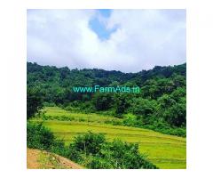 10 Acre Farm Land for Sale Near Nagara