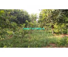 12 Acre Organic Farm Land for Sale Near Valigonda