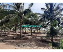 5 Acre Farm Land for Sale Near Gudimangalam