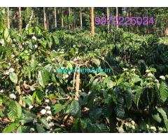 Two acres coffee and pepper land for sale at Somwarpet