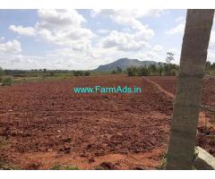 3 Acre Farm Land for Sale Near Gundasandra, Doddaballapura