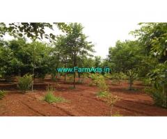 12 Acres Organic Farm Land for Sale near Bhongir