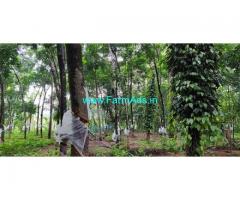 40 Cents Rubber Farm Land with House for Sale near Thrissur