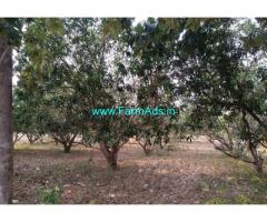 2.82 Acres Mango Garden for sale, Next to Thiruvallur