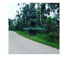2.5 Acre Farm Land for Sale Near Sakleshpur