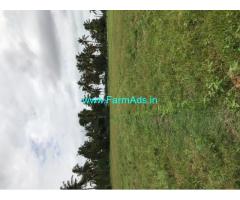 Selling 3 hectares our agriculture land at Gauribidnur
