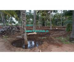 2.79 acre total farm land for sale with  coconut trees, mango trees