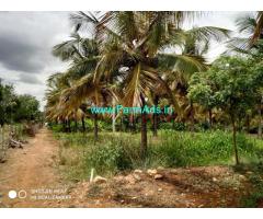 2.13 Acres Coconut farm Land for sale at Chikkanayakanahalli
