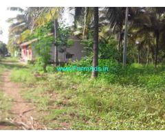 2.13 Acres Coconut farm Land for sale at Chikkanayakanahalli